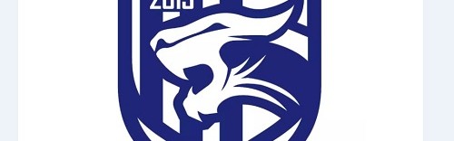 中国体育-武汉足管中心主任：武汉三镇正推进股改事宜，已做好净资调查工作