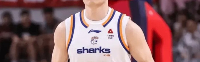 CBA最佳阵容3人成大赢家！李弘权逐步提升，庞峥麟+徐昕获认可！|篮板|球员|赛季|杜锋|星锐_新浪体育_新浪新闻