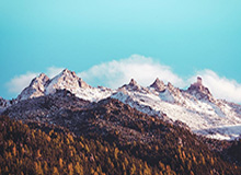 在线体育-泰达足协杯幸运跻身8强 想成乱世英雄还得靠自己